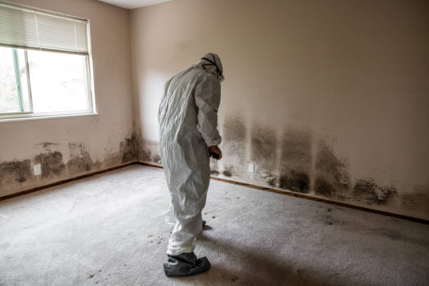 Best Commercial Mold Remediation in Atwater, CA